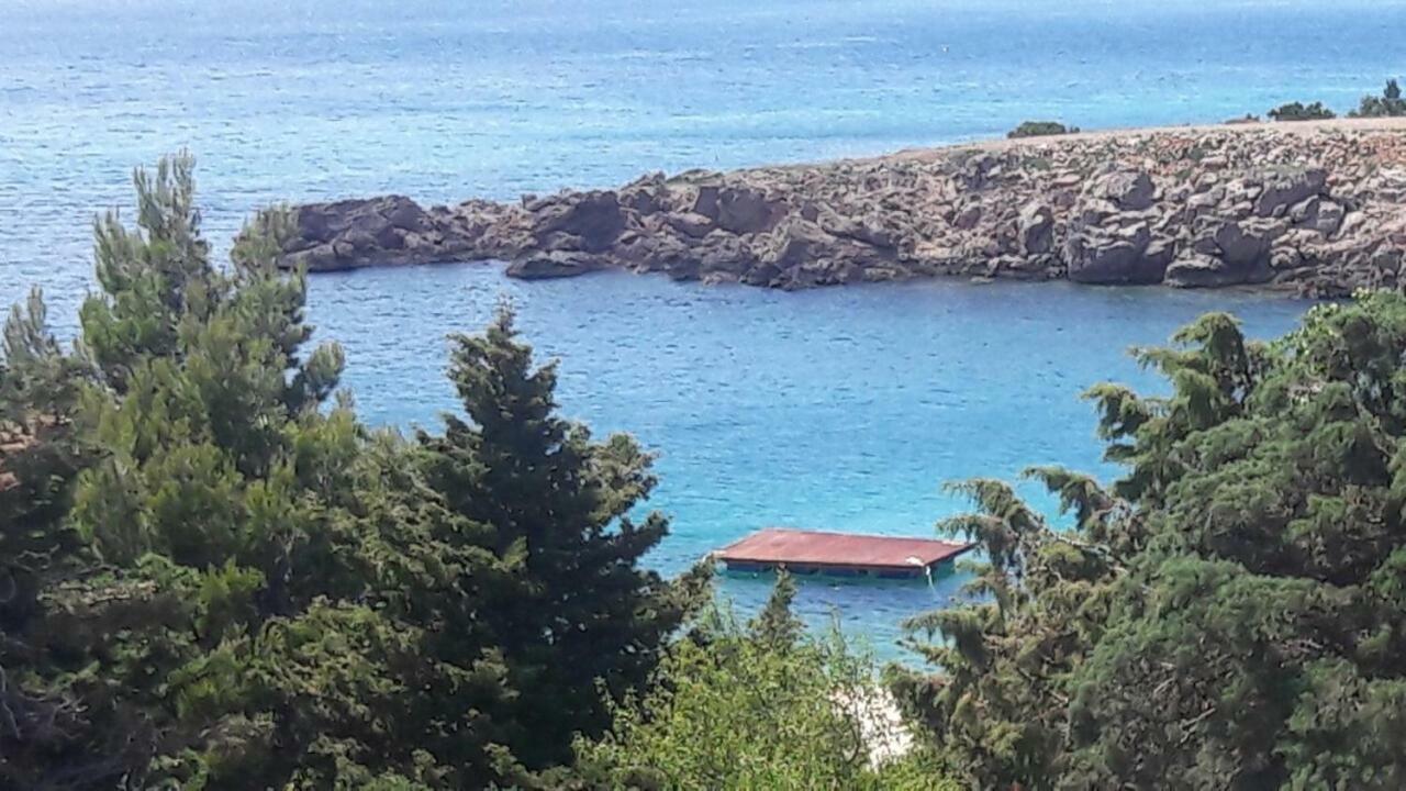 Apartment Vila Dadic